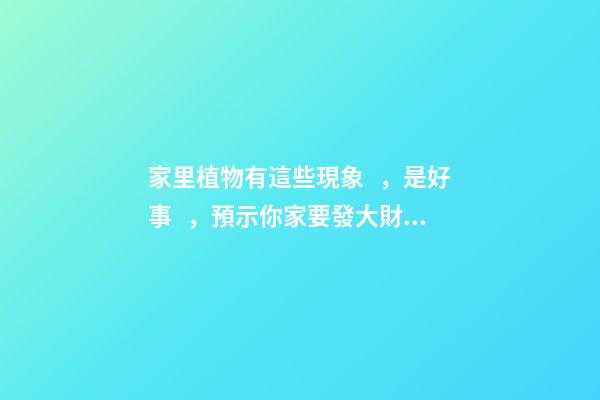 家里植物有這些現象，是好事，預示你家要發大財了！